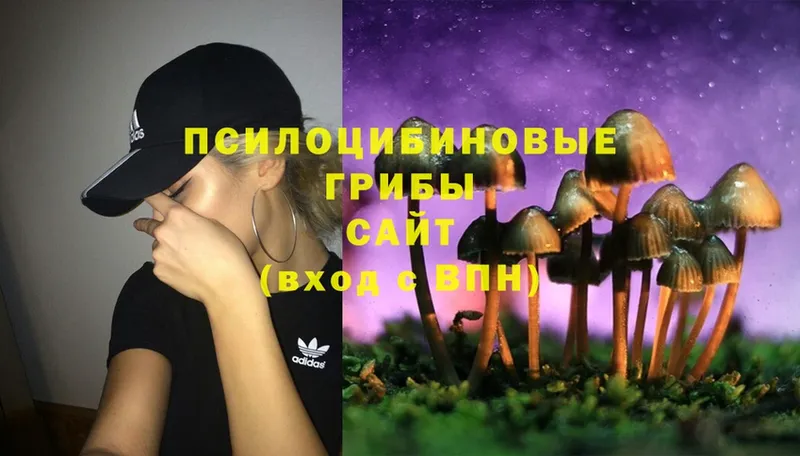 Псилоцибиновые грибы Psilocybe  Красноперекопск 